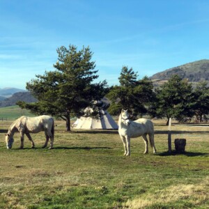 Bivouac chevaux, le tipi en formule "glamping" avec vue sur le puy d'Olloix à droite et le massif du Sancy à gauche