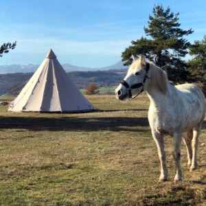 Bivouac chevaux, le tipi en formule "glamping" avec vue sur le massif du Sancy