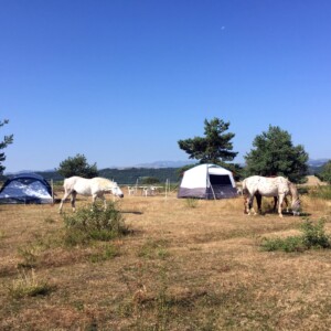 Bivouac chevaux, formule liberté avec tentes des vacanciers et nos chevaux au premier plan