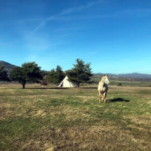 Bivouac chevaux, le tipi en formule "glamping" avec vue sur le puy d'Olloix à gauche et le Puy de Dôme et la chaine des Puys à droite
