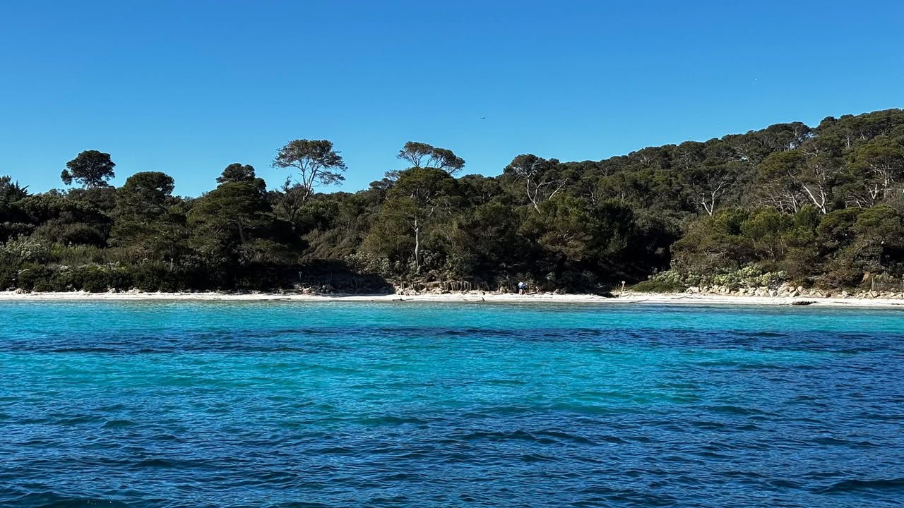 Découvrir Porquerolles et ses criques sublimes vous tente ? Lamarine vous propose une nouvelle date…